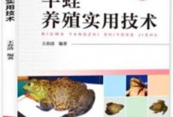 牛蛙饲养爆料视频教程全集,揭秘视频教程全集精华